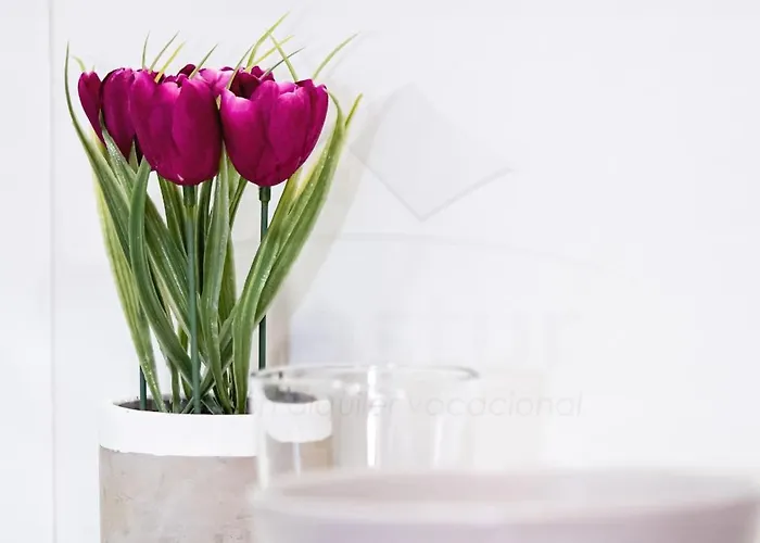 Apartament Pimpilinpauxa By Silastur Gijón