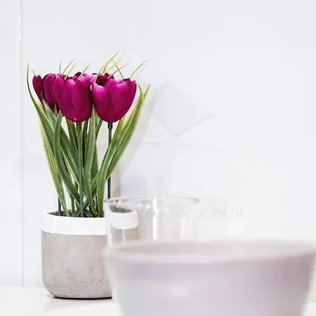 Apartament Pimpilinpauxa By Silastur Gijón